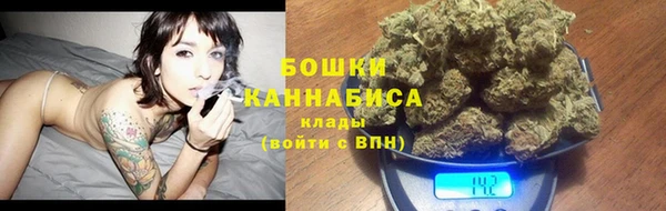 крисы Кодинск