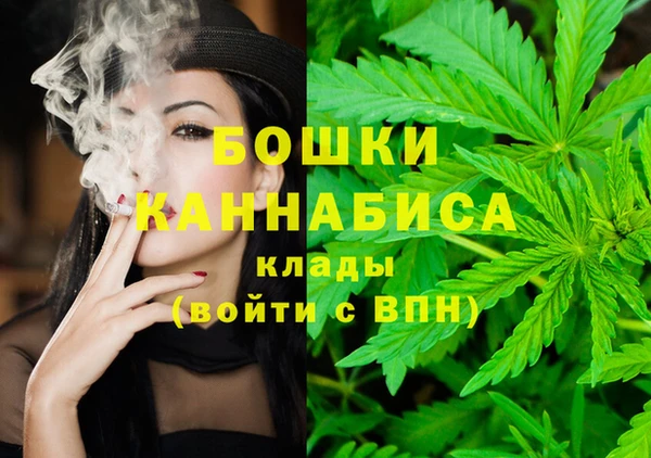 крисы Кодинск
