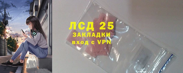 спайс Корсаков