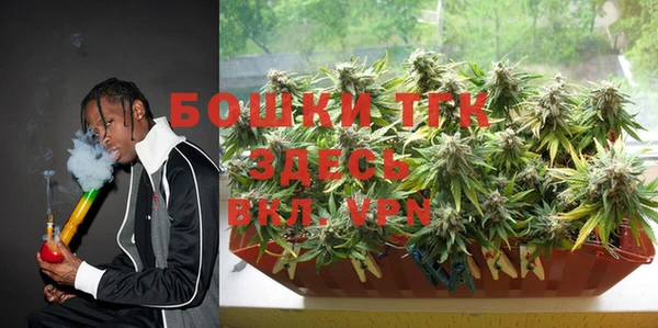 сатива Тольятти