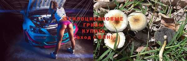 крисы Кодинск