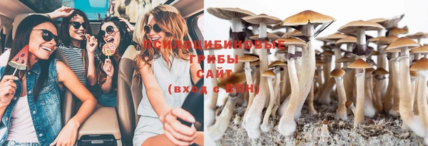 мескалин Козловка
