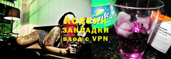 мдпв Костерёво