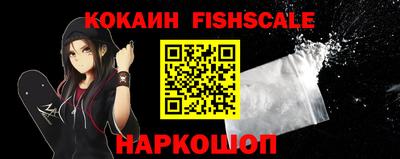 стафф Кингисепп