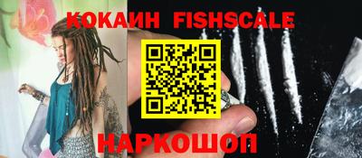 стафф Кингисепп