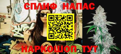 сатива Кинель