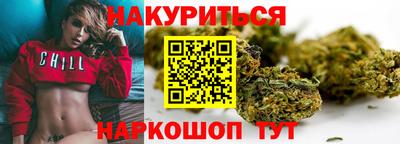 стафф Кингисепп