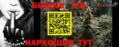 стафф Кингисепп