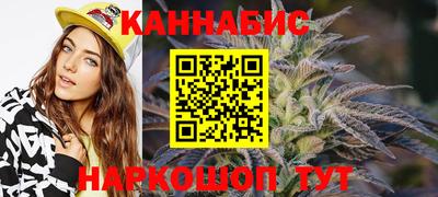 стафф Кингисепп