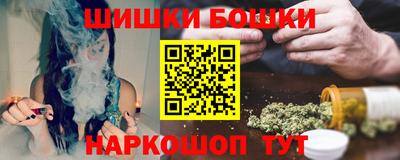 стафф Кингисепп