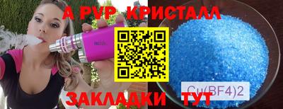 стафф Кингисепп
