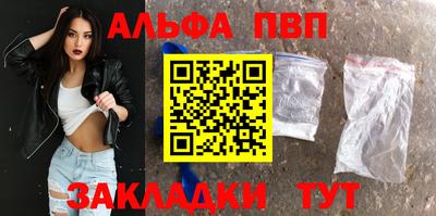 стафф Кингисепп