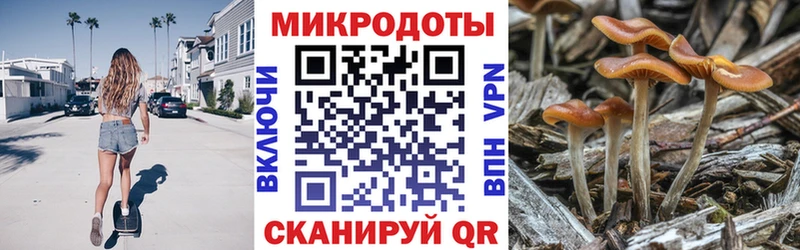 Псилоцибиновые грибы мухоморы kraken сайт Новокузнецк