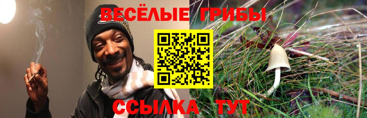 Галлюциногенные грибы ЛСД  продажа наркотиков  Новокузнецк  Вход с VPN 