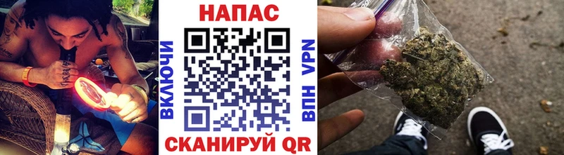 гидра рабочий сайт  Новокузнецк  даркнет формула  Марихуана сатива 